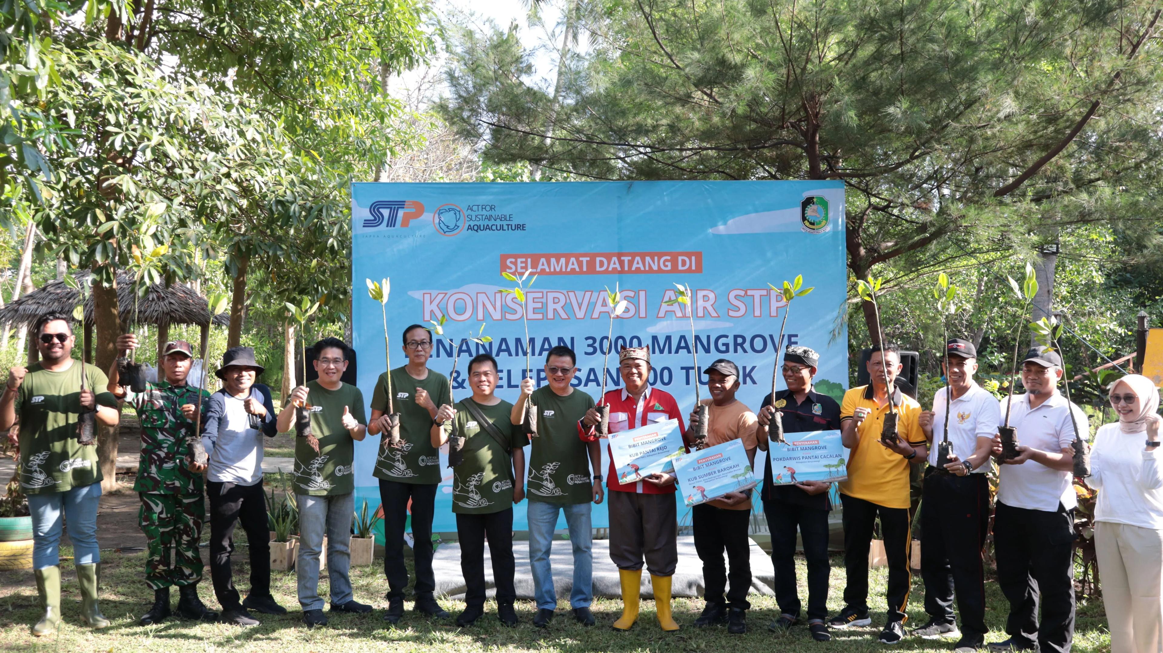 Komitmen STP untuk Akuakultur Berkelanjutan: Penaman 3.000 Mangrove dan Pelepasan 100 Tukik