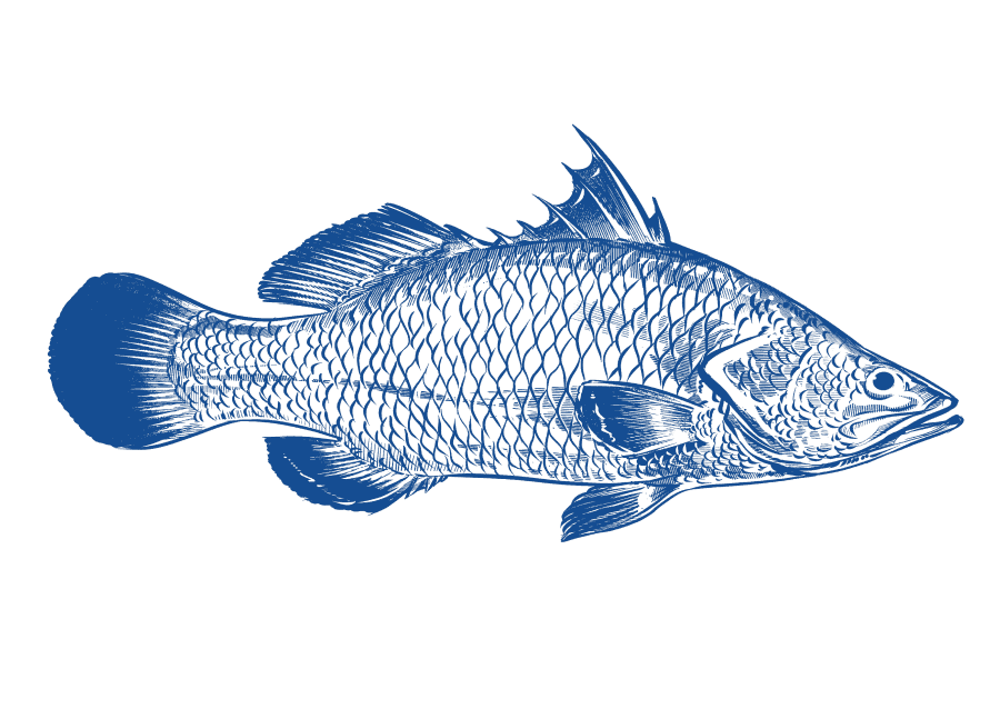 https://api.stpaquaculture.com/uploads/barramundi_0327164bda.png